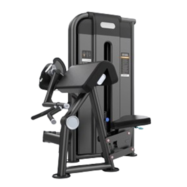 BICEPS CURL  